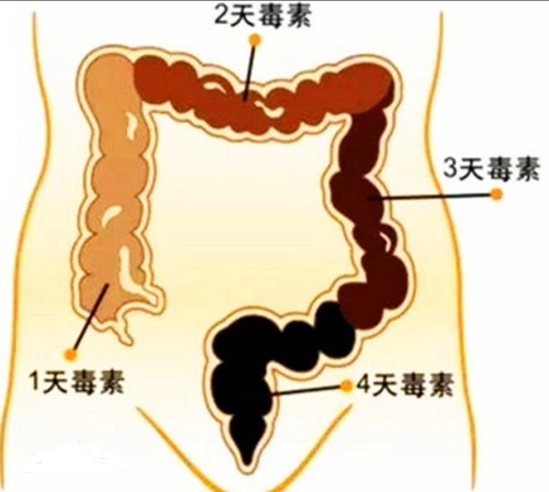 人身體到底有多少毒素?分為這兩類