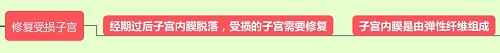 膠原蛋白可以修復(fù)子宮內(nèi)膜、保養(yǎng)卵巢嗎？