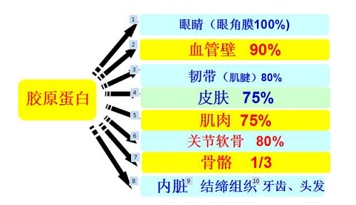 膠原蛋白什么時(shí)候吃最好？3大誤區(qū)你犯過嗎