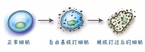 14個(gè)容易變老的壞習(xí)慣，快來看看你中招了嗎？