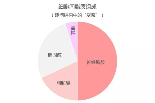 網(wǎng)紅成分神經(jīng)酰胺對皮膚的作用 一次講清楚