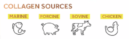 膠原蛋白到底哪種好 選品邏輯干貨來了