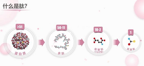 膠原蛋白流失的原因 高顏值的人都做到了這幾點(diǎn)