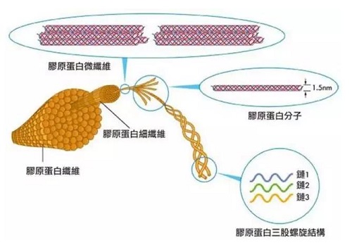 如何選擇口服膠原蛋白產(chǎn)品?收好這7條專家建議