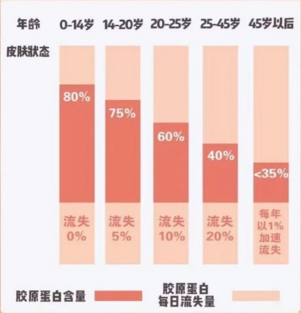 含膠原蛋白的食物 吃啥食物補充膠原蛋白