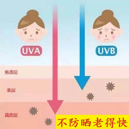 膠原蛋白肽什么時(shí)候喝最好？6個(gè)讓吸收翻倍的小竅門