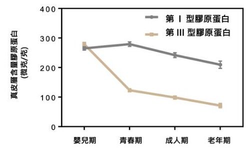 膠原蛋白I型、II型、III型的區(qū)別