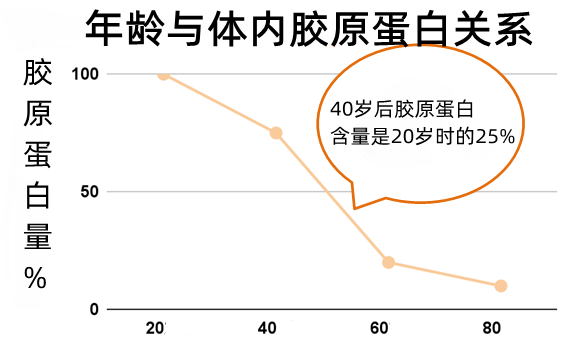 膠原蛋白功效、類型、選購與吃法，一次講清楚