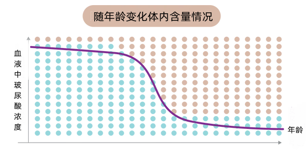 什么是玻尿酸？它有哪些功效？