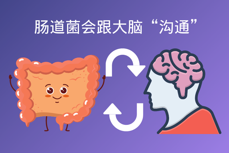 照顧好你身體里的“隱藏版大腦” 健康快樂的秘訣