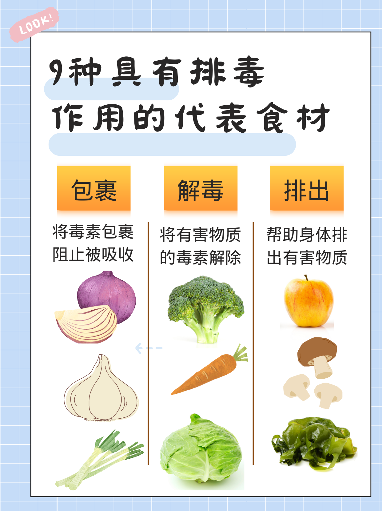 腸道排毒吃什么 日本流行的9種排毒代表食材 