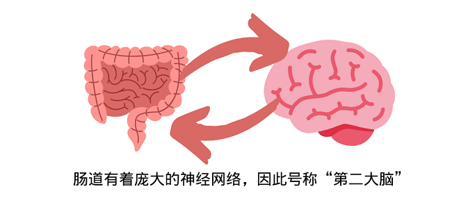 養(yǎng)腸須知的腸道健康知識 只有懂它才能更好地“愛”它