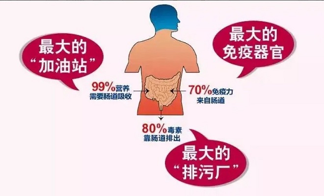 95%的人存在腸道健康問題！你的腸道還好嗎