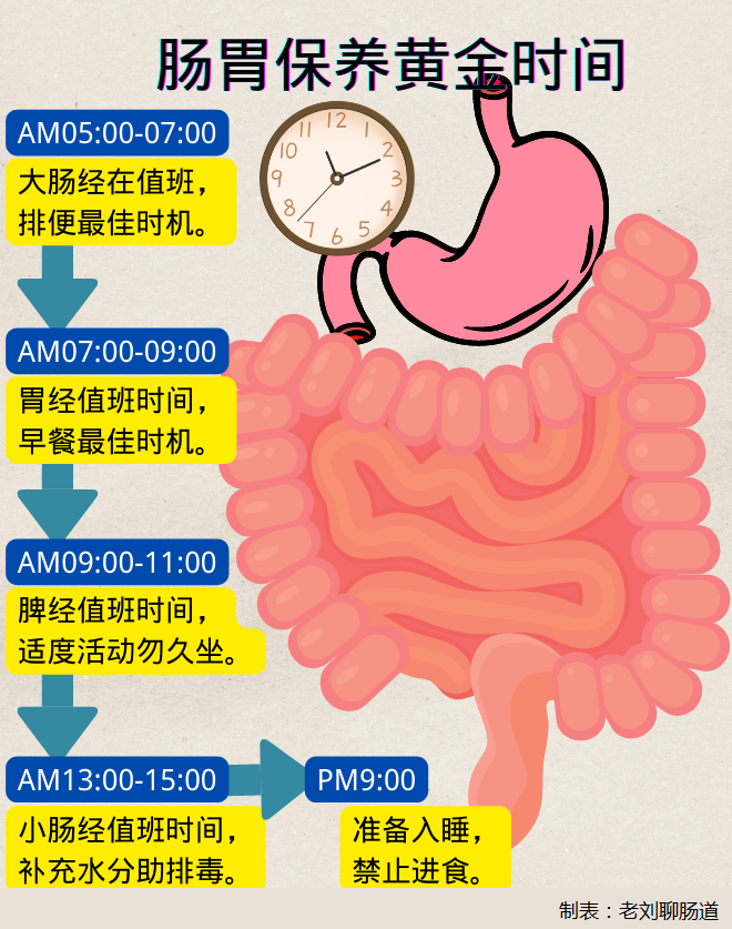 把握一天中這些“黃金時段”  腸道調理事半功倍