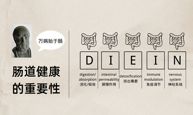 牽一“腸”動(dòng)全身 腸道健康的重要性