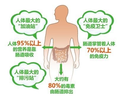 牽一“腸”動(dòng)全身 腸道健康的重要性