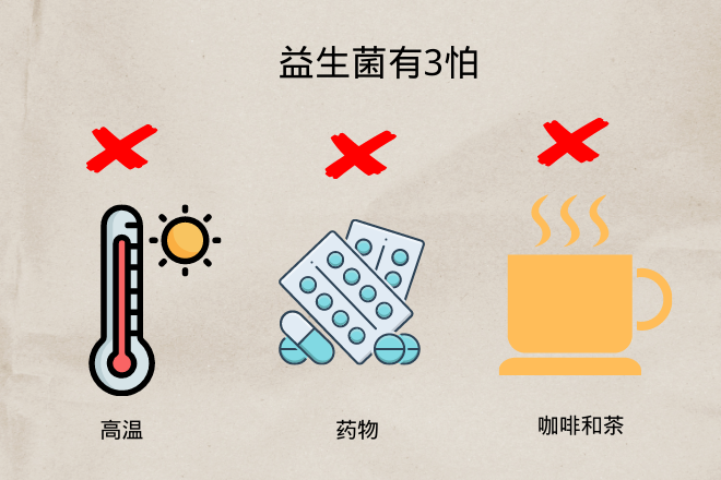 益生菌怎么吃正確？最佳服用時(shí)間和方法