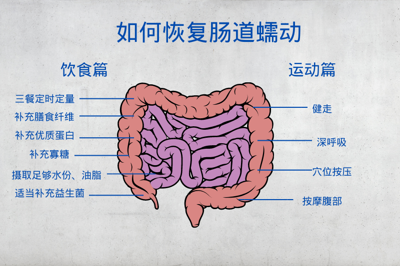 腸道蠕動(dòng)慢原因是什么？如何恢復(fù)腸道蠕動(dòng)功能