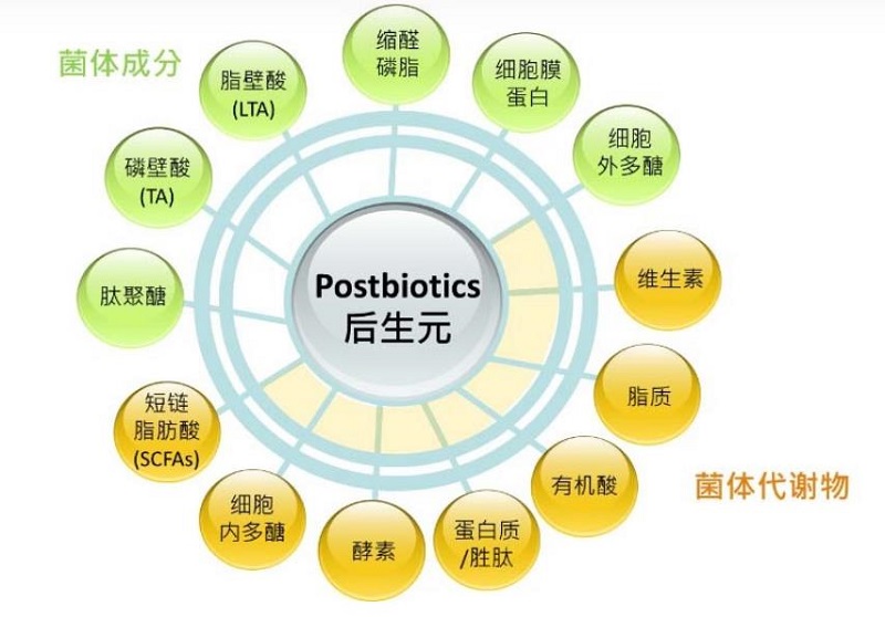 后生元是什么，好處？跟益生菌、益生元的區(qū)別？