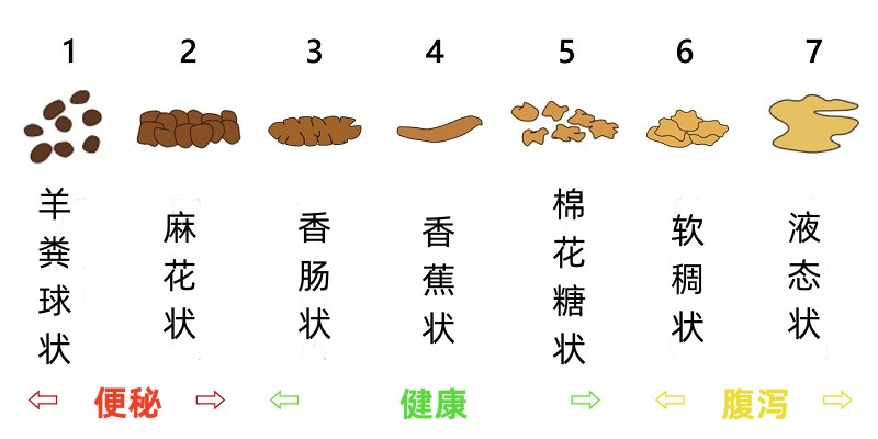 便秘怎么辦？原因、危害與改善方法大起底