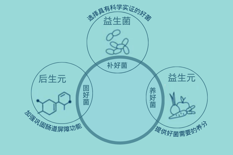 什么是后生元？它對(duì)人體健康有哪些好處