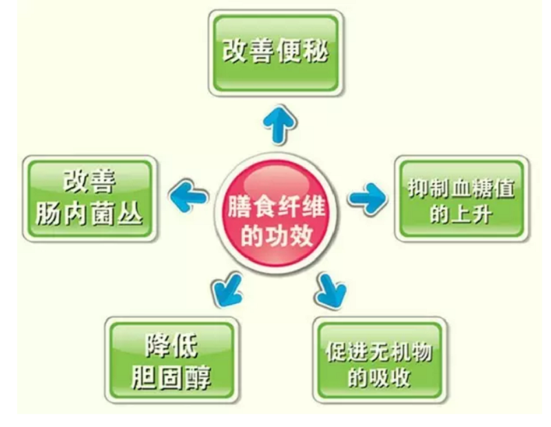 不愛吃粗糧？當心腸道菌吃你的腸子