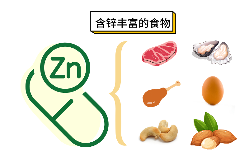 鋅對(duì)腸道健康的作用？補(bǔ)鋅可以保護(hù)腸道嗎