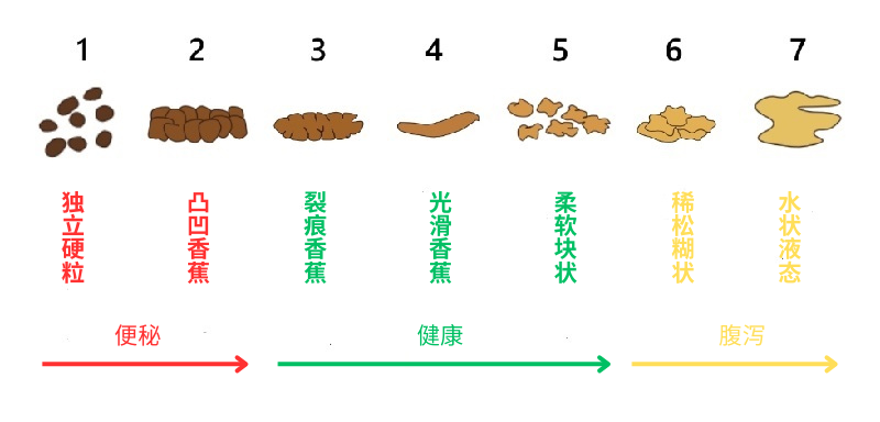 便秘怎么辦？一文看清原因、危害及改善方法