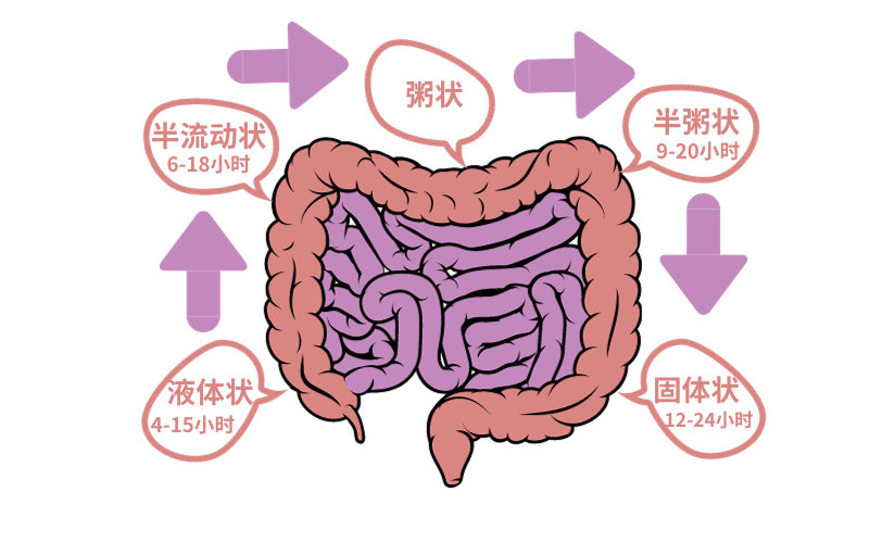 便秘怎么辦？一文看清原因、危害及改善方法