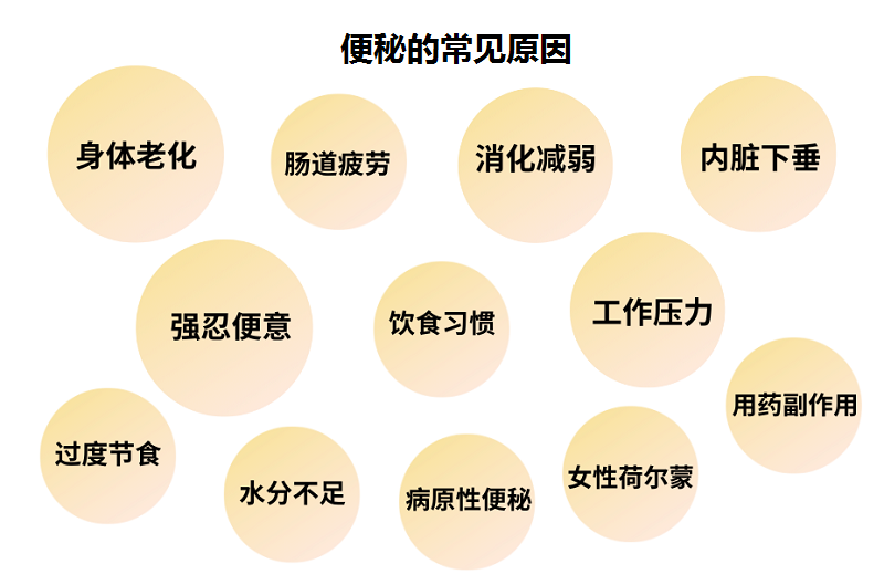 便秘怎么辦？一文看清原因、危害及改善方法