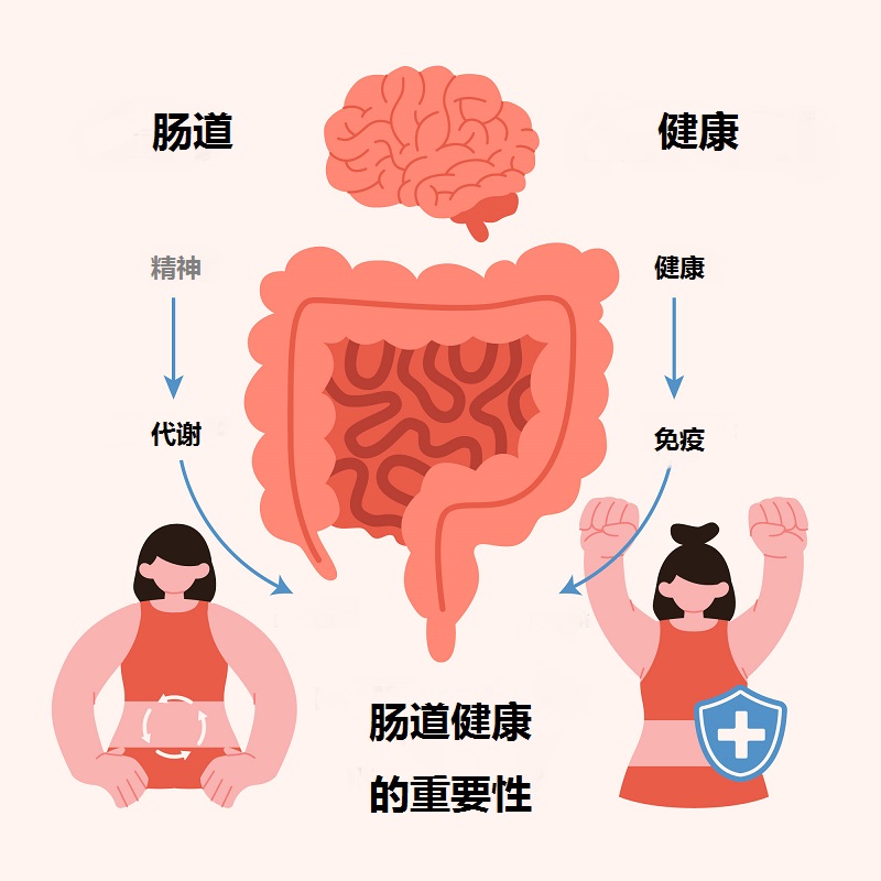 腸道健康的重要性，怎樣判斷自己腸道是否健康？