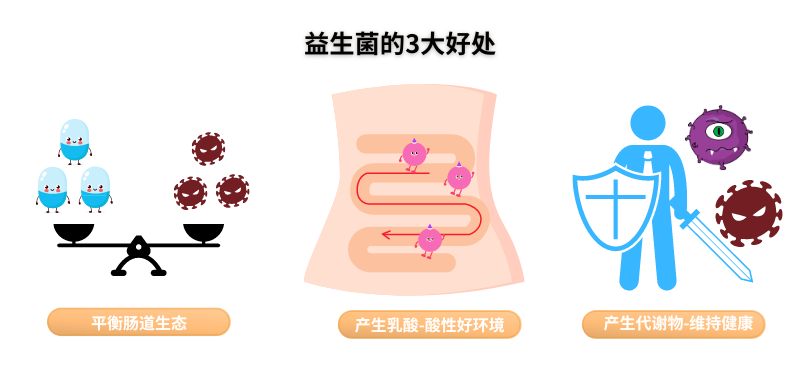 益生菌什么時候吃、怎么吃效果更好？全套懶人包來了