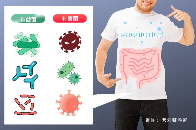 腸道健康的重要性，八成疾病與其有關(guān)！