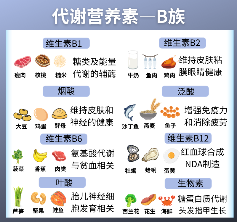 維生素B的功效與作用，適合哪些人吃