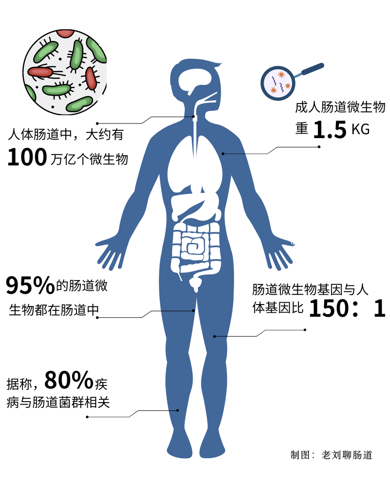 認識你腸道里100萬億個居民，腸道菌群那些事兒