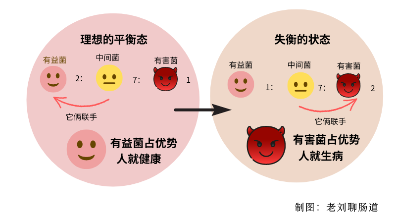 認識你腸道里100萬億個居民，腸道菌群那些事兒